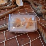 Sea Shell Salt & Pepper Set